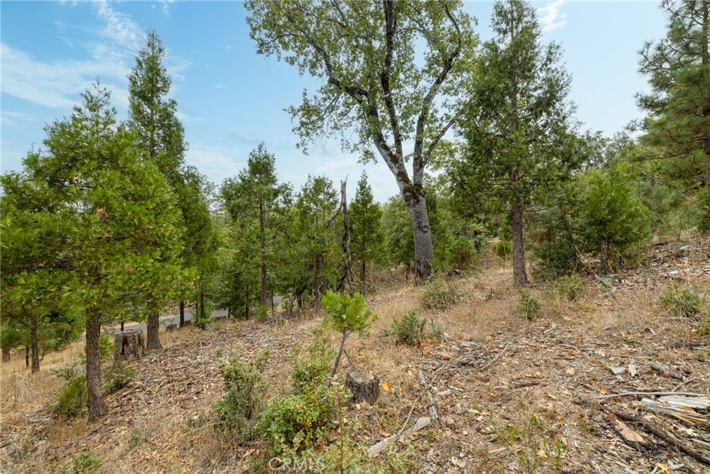 26 Timberview Road North Fork, CA 93643 - Photo 19 of 35 a view of a forest with trees in the background