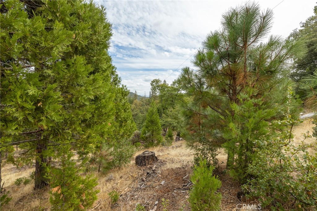 26 Timberview Road North Fork, CA 93643 - Photo 23 of 35 a view of a tree in a yard