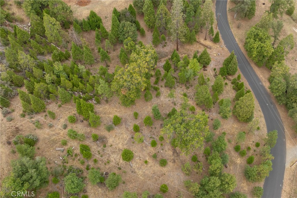 26 Timberview Road North Fork, CA 93643 - Photo 27 of 35 a view of a forest