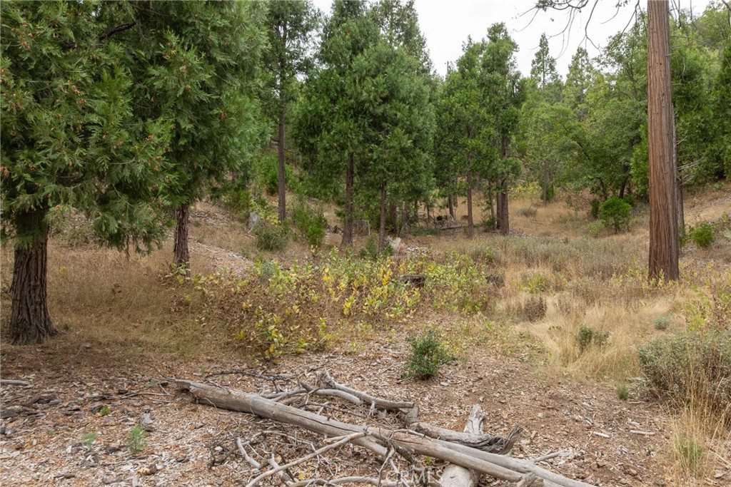 26 Timberview Road North Fork, CA 93643 - Photo 3 of 35 a view of a yard with plants and trees