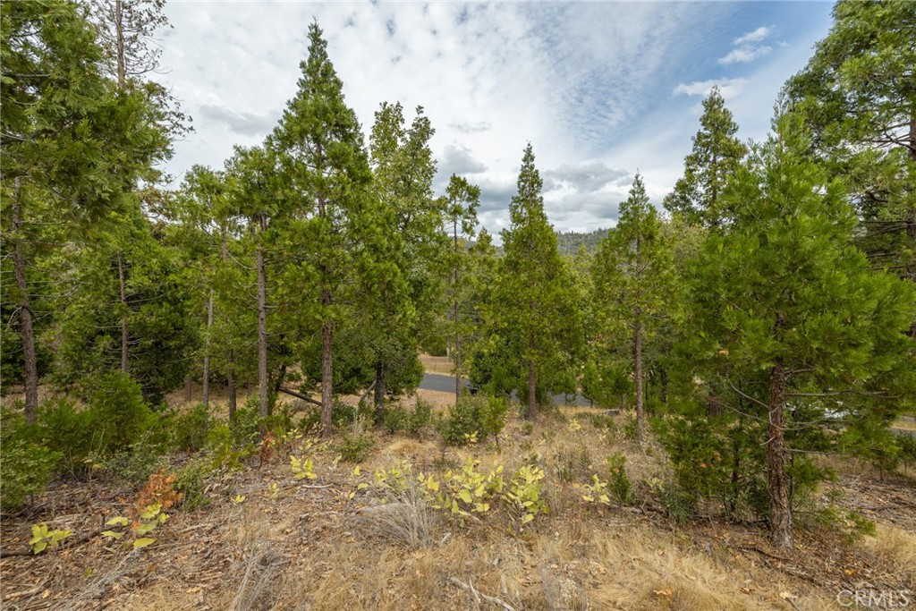 26 Timberview Road North Fork, CA 93643 - Photo 33 of 35 a view of a forest with trees in the background