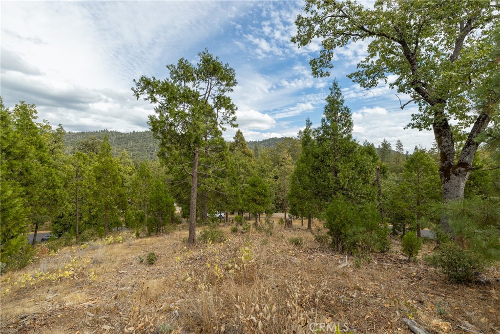 26 Timberview Road North Fork, CA 93643 - Photo 34 of 35 a view of a forest filled with trees