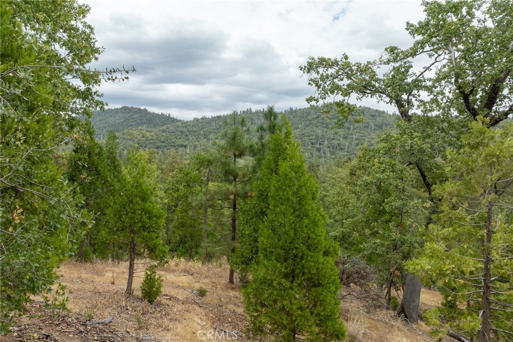 26 Timberview Road North Fork, CA 93643 - Photo 5 of 35 a view of a forest with a tree
