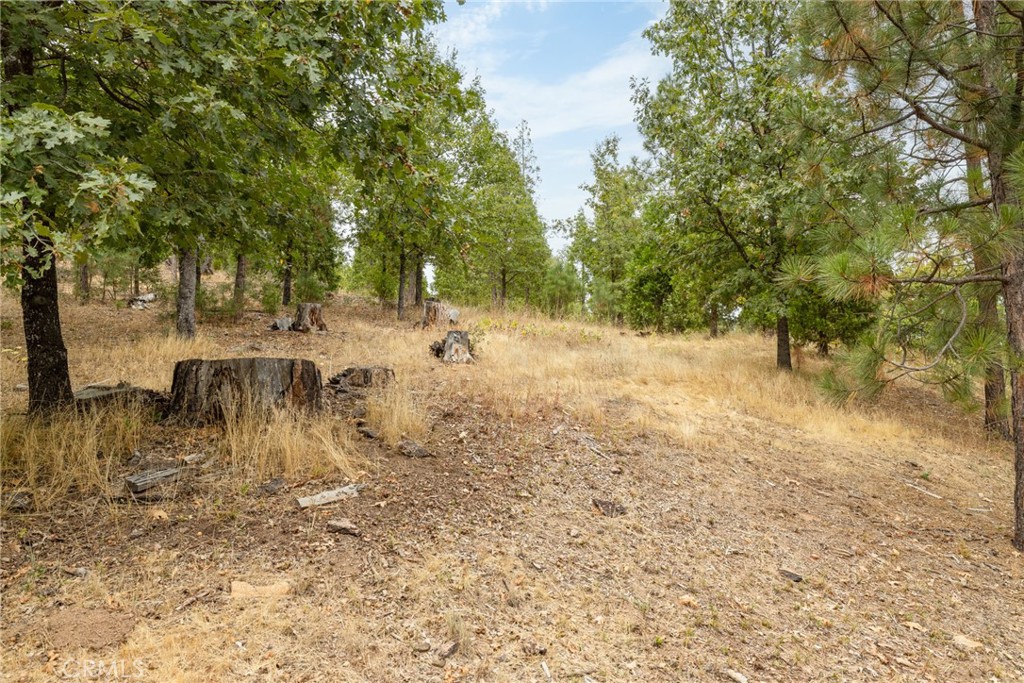 26 Timberview Road North Fork, CA 93643 - Photo 9 of 35 a view of a yard with a tree