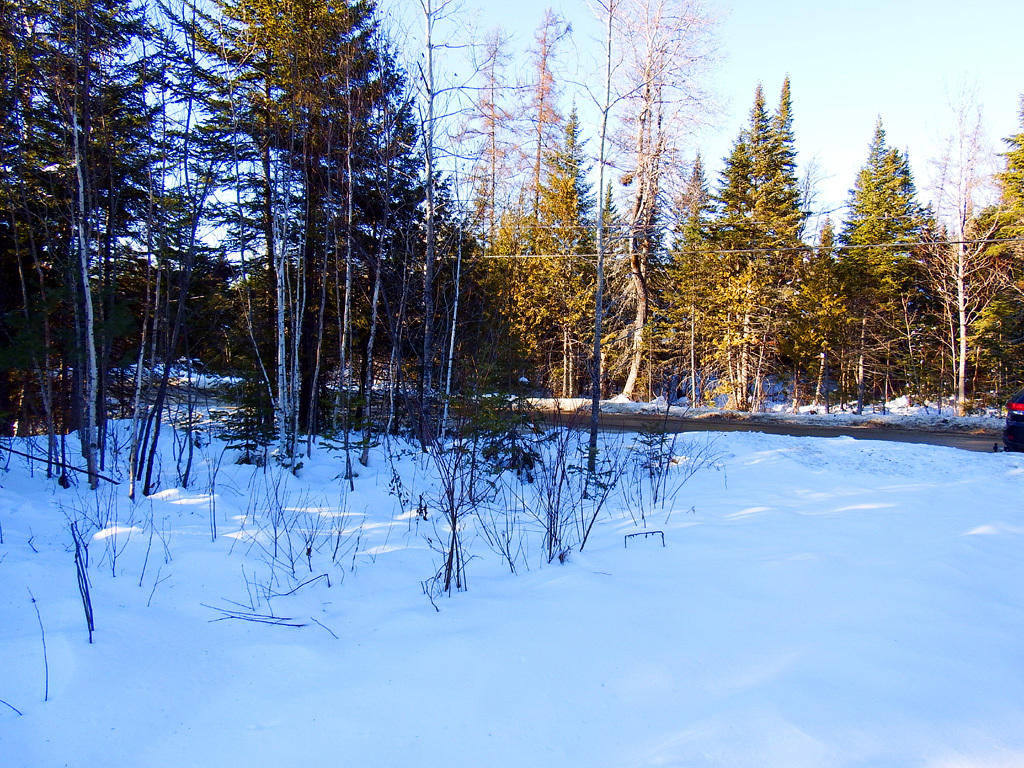 342 Station Road Littleton, ME 04730 - Photo 17 of 21 342-station-rd-land-4