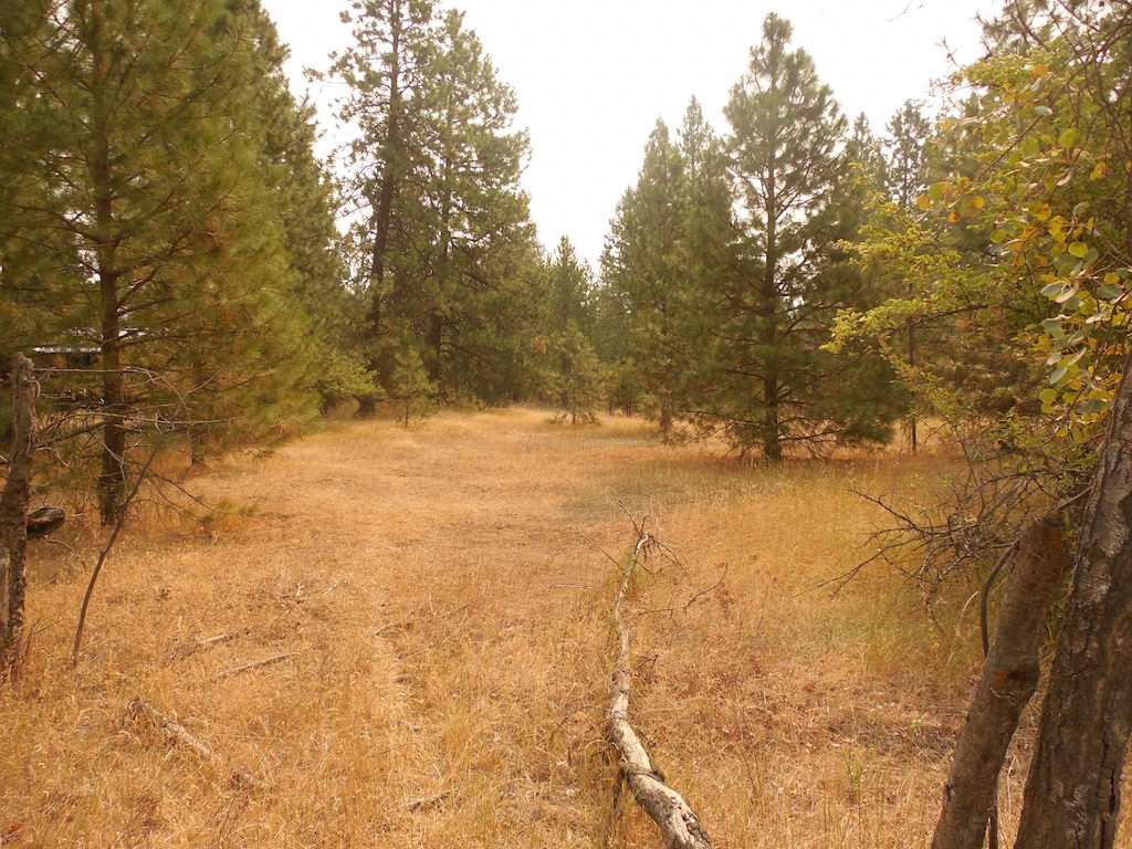 30916 North Mill Road Deer Park, WA 99006 - Photo 1 of 10 Gallery Image 1