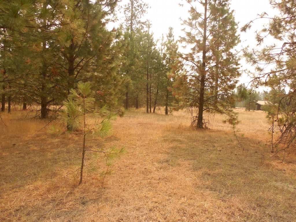 30916 North Mill Road Deer Park, WA 99006 - Photo 2 of 10 Gallery Image 2