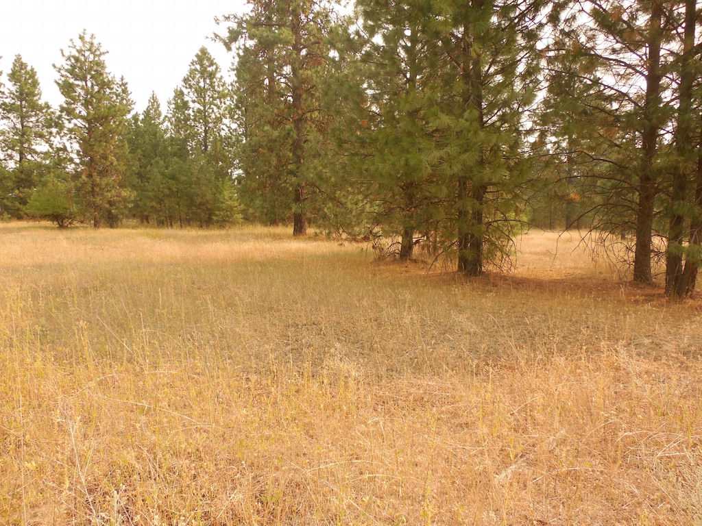 30916 North Mill Road Deer Park, WA 99006 - Photo 6 of 10 Gallery Image 6