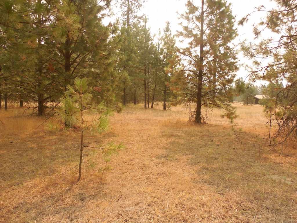 30916 North Mill Road Deer Park, WA 99006 - Photo 10 of 10 Gallery Image 10