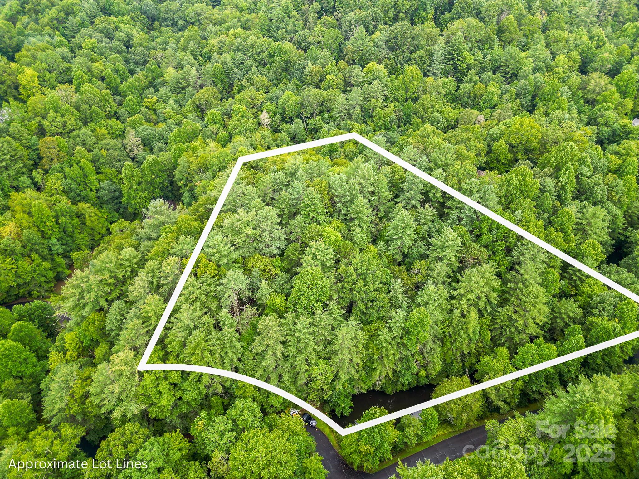 99999 Thunder Road Brevard, NC 28712 - Photo 11 of 13