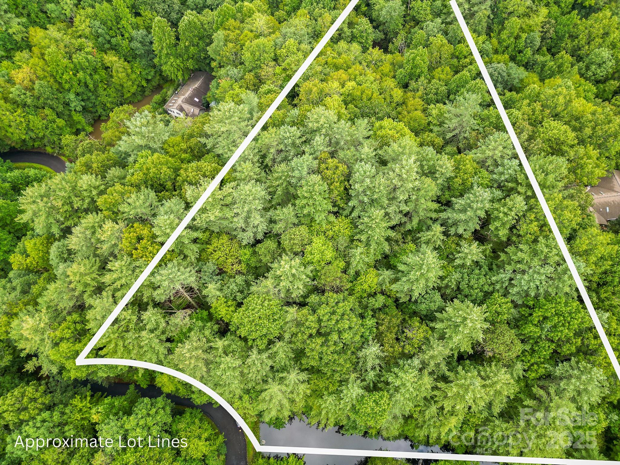 99999 Thunder Road Brevard, NC 28712 - Photo 12 of 13