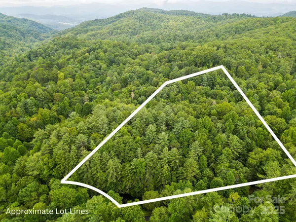 $99,000 | 99999 Thunder Road, Brevard, NC 28712