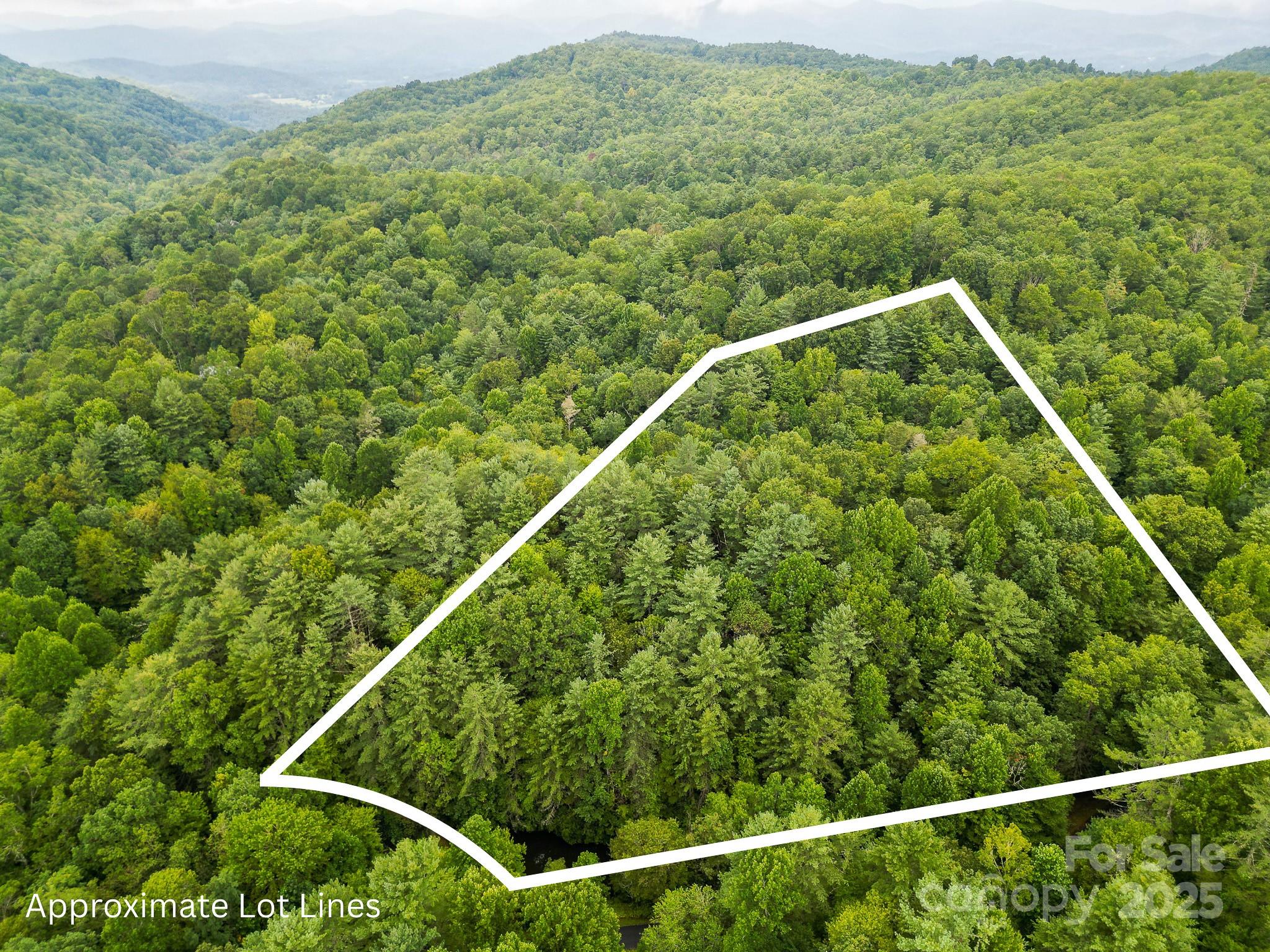 99999 Thunder Road Brevard, NC 28712 - Photo 13 of 13