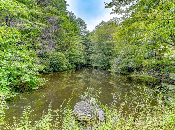 $99,000 | 99999 Thunder Road, Brevard, NC 28712