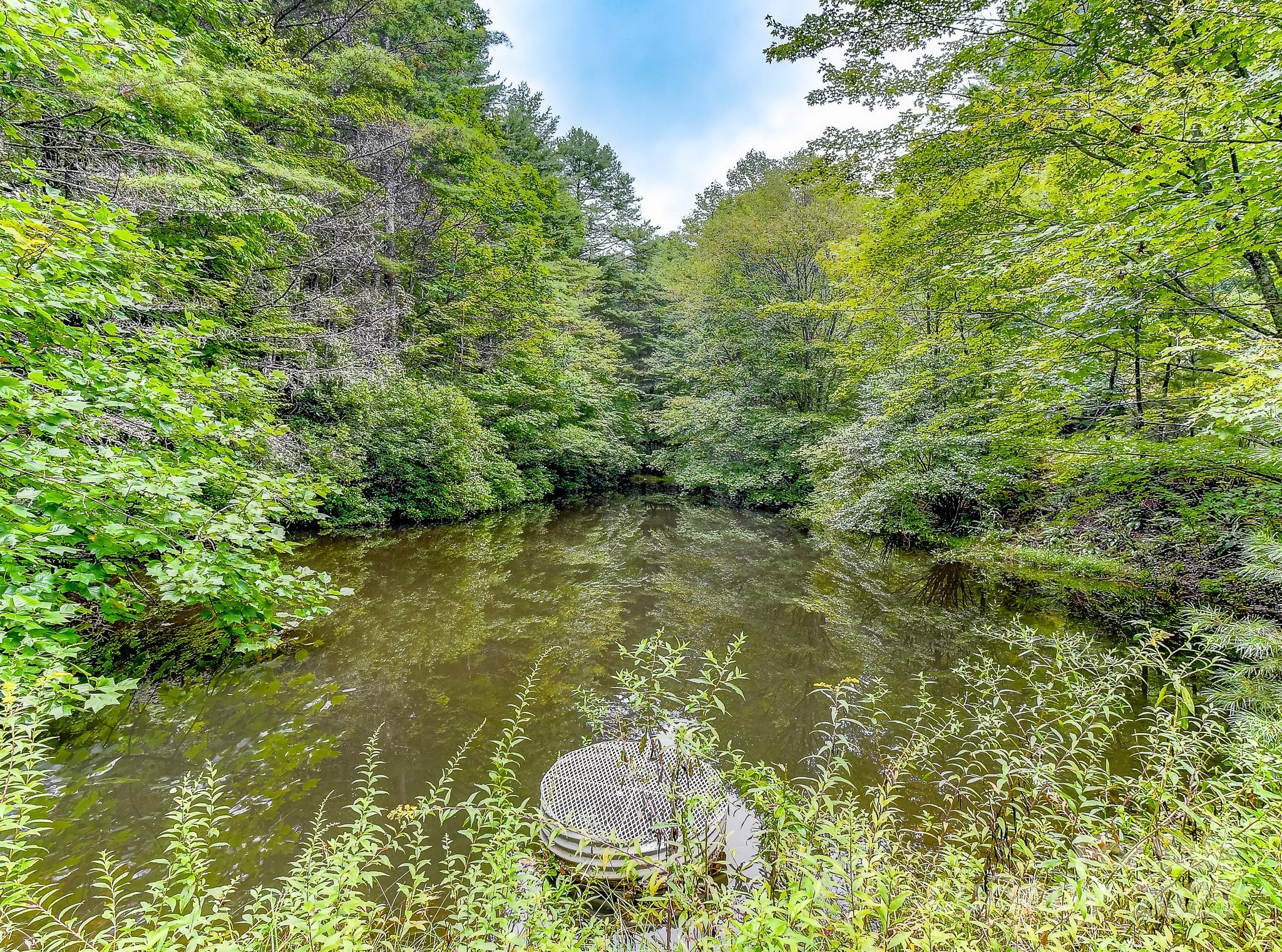 99999 Thunder Road Brevard, NC 28712 - Photo 2 of 13