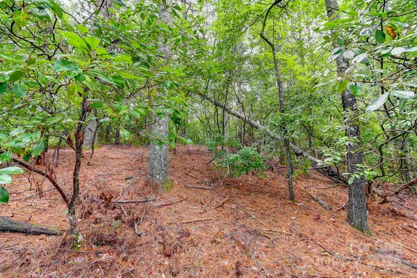 $99,000 | 99999 Thunder Road, Brevard, NC 28712