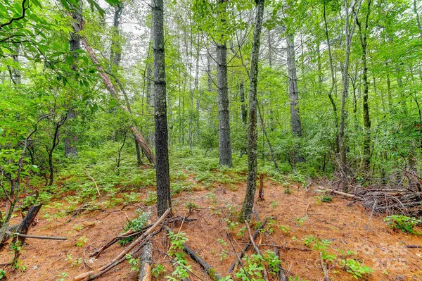 $99,000 | 99999 Thunder Road, Brevard, NC 28712