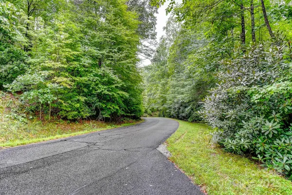 $99,000 | 99999 Thunder Road, Brevard, NC 28712