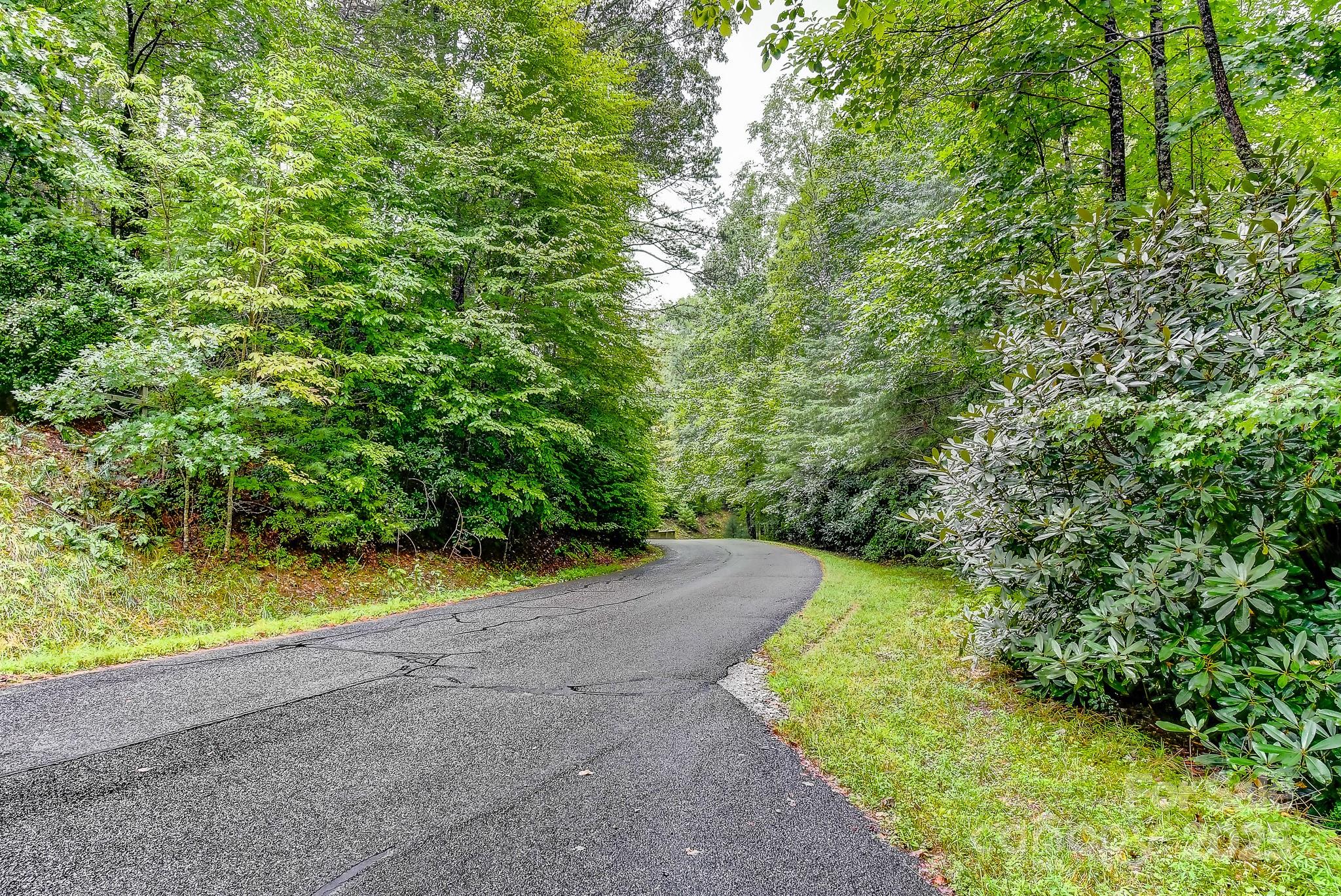 99999 Thunder Road Brevard, NC 28712 - Photo 6 of 13