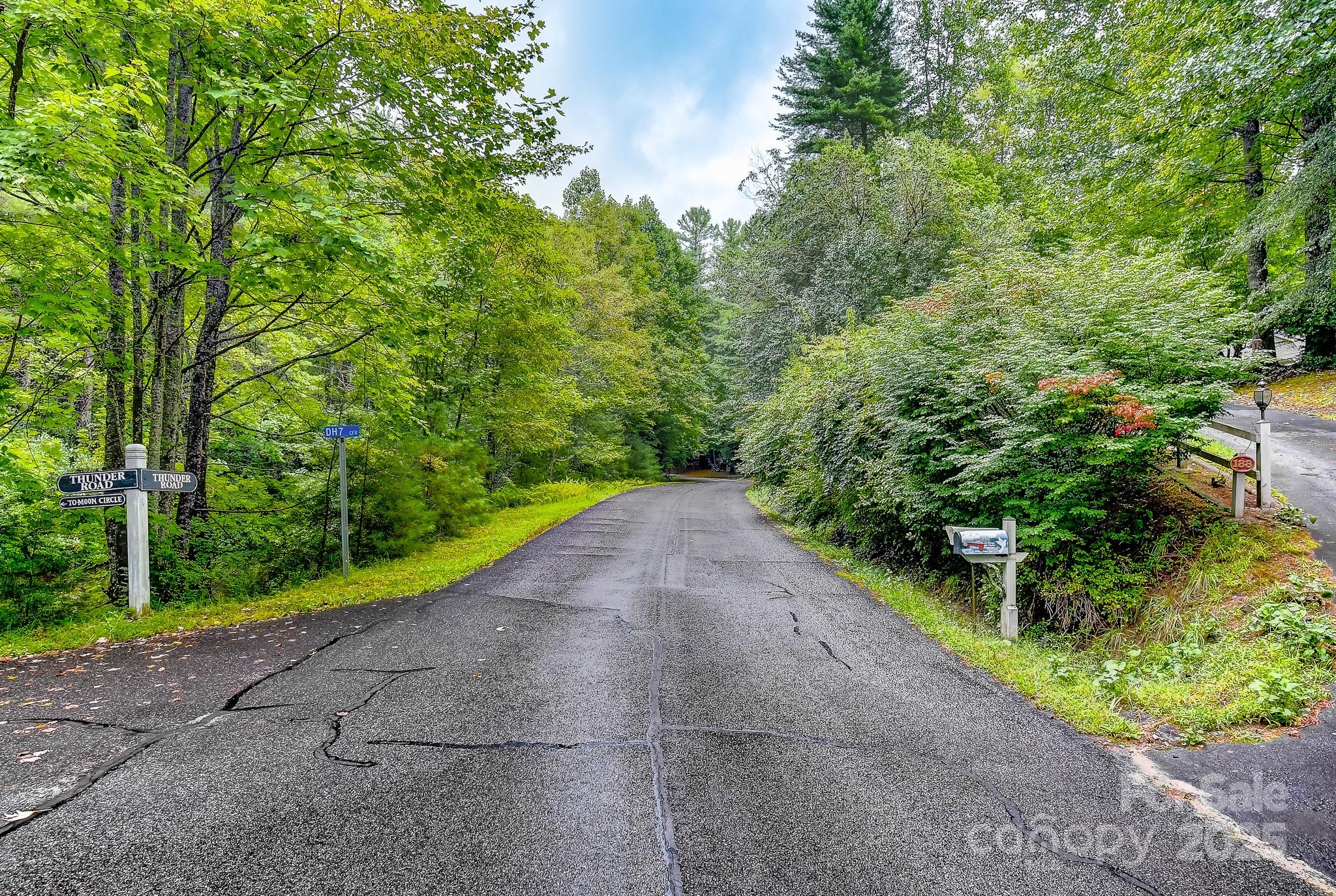 99999 Thunder Road Brevard, NC 28712 - Photo 7 of 13