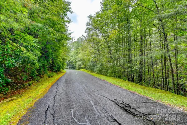 $99,000 | 99999 Thunder Road, Brevard, NC 28712