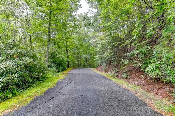 $99,000 | 99999 Thunder Road, Brevard, NC 28712