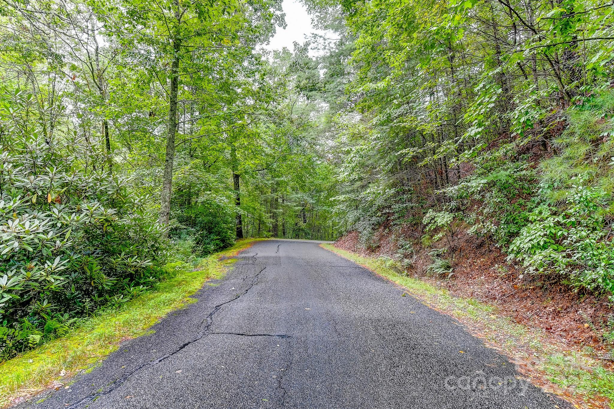 99999 Thunder Road Brevard, NC 28712 - Photo 9 of 13