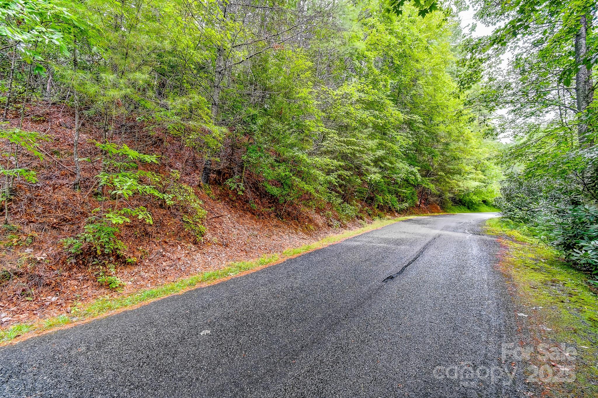 99999 Thunder Road Brevard, NC 28712 - Photo 10 of 13