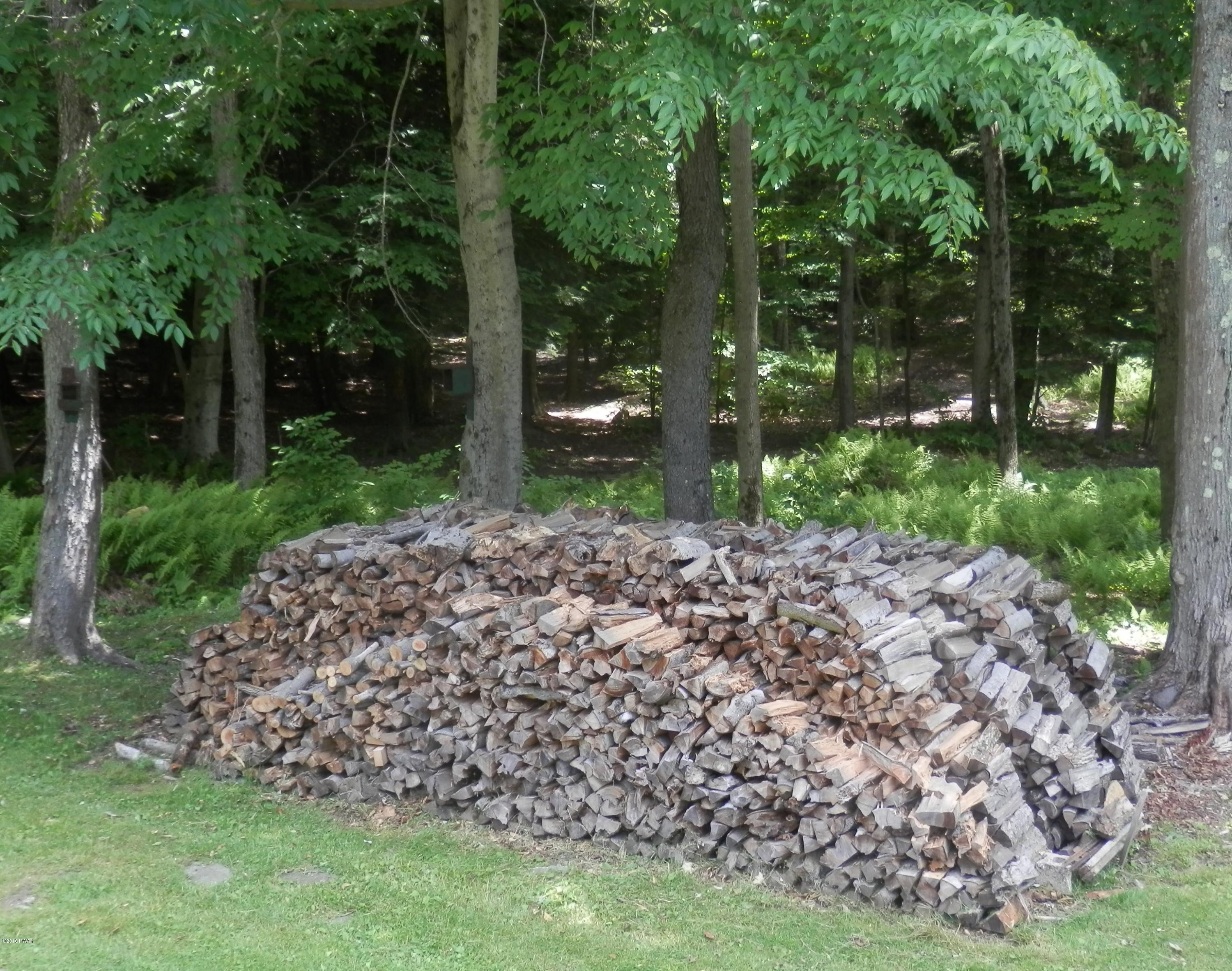 920 Ravnikar Road Forest City, PA 18421 - Photo 37 of 37 WOOD FOR THE YEAR (STAYS)