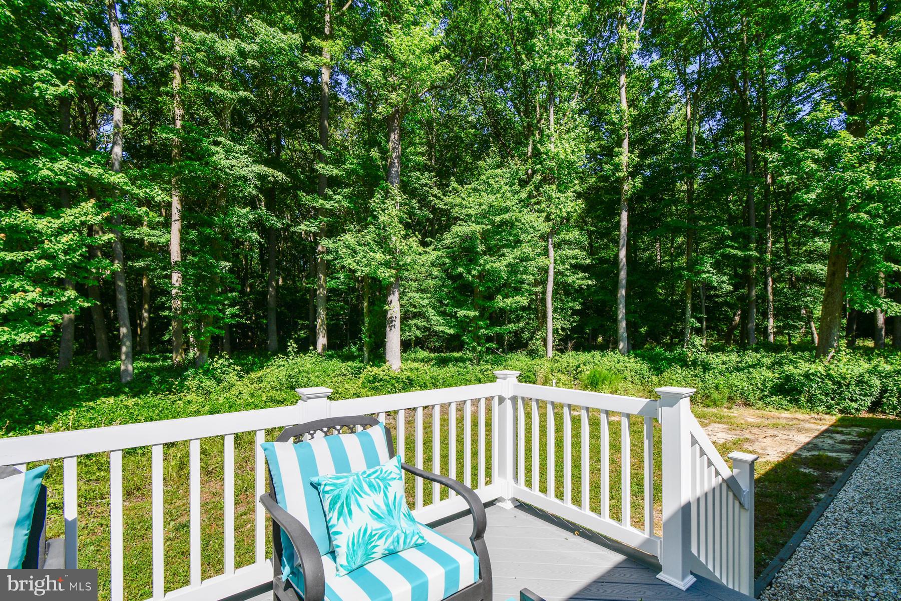 11006 Mumford Road Bishopville, MD 21813 - Photo 47 of 48