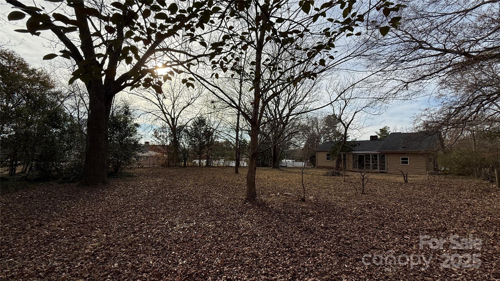 809 Howard Street Shelby, NC 28152 - Photo 15 of 41 a view of a yard with a tree