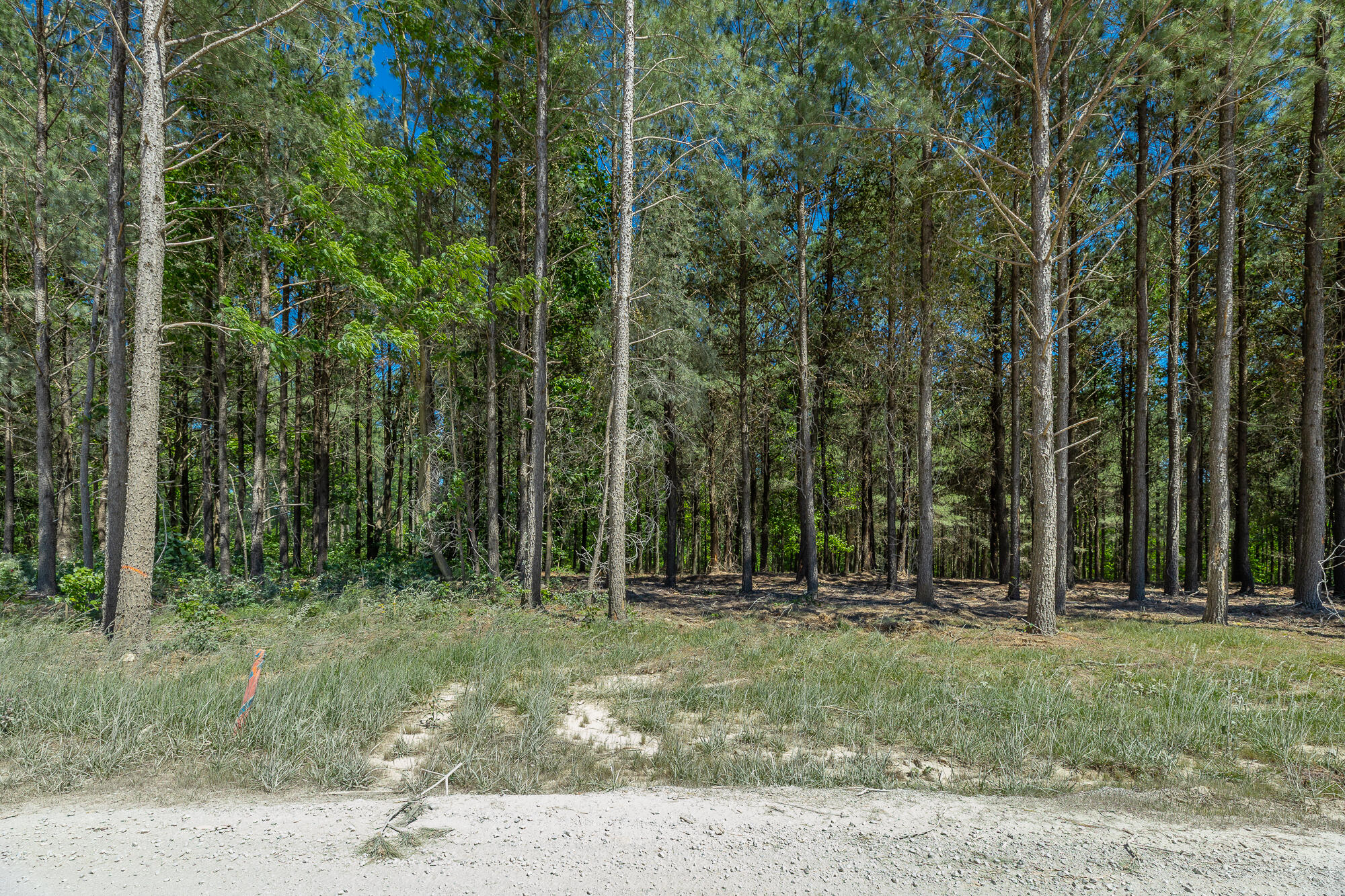 0 Split Rail Way, Unit 1349 Guild, TN 37340 - Photo 16 of 108 0 Split Rail Way - Lot 1349 HD-46