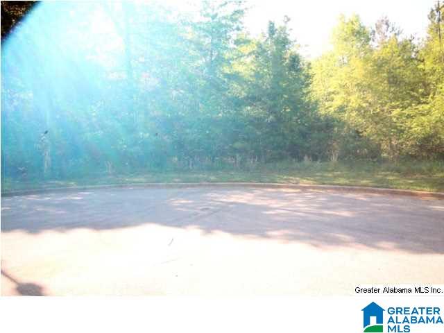 0 Almaroad Place Southwest, Unit 107 Jacksonville, AL 36265 - Photo 9 of 31
