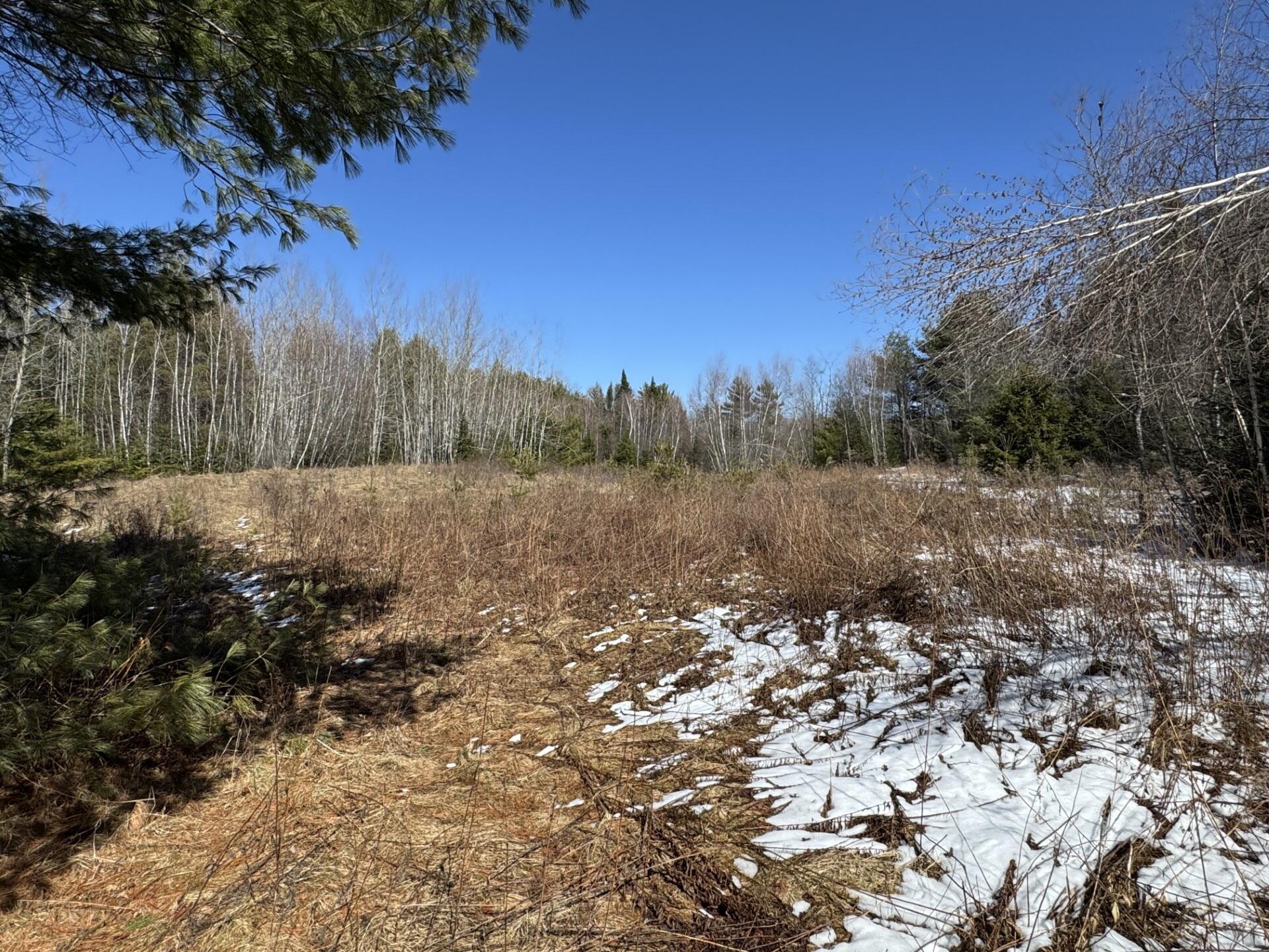 Lot 21 Bog Road Waterville, ME 04901 - Photo 2 of 7 Small field on on the property
