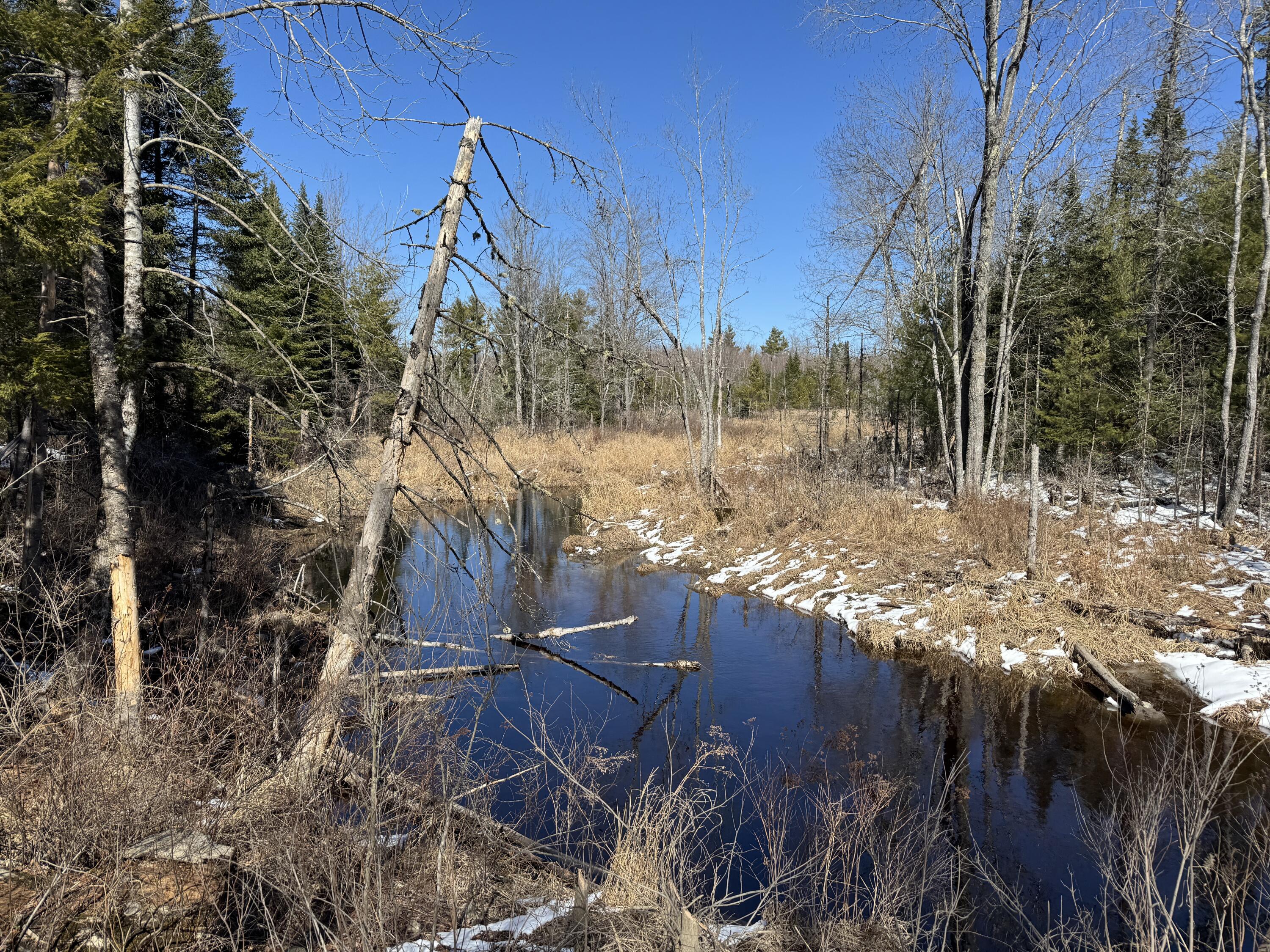Lot 21 Bog Road Waterville, ME 04901 - Photo 4 of 7 A beautiful stream & waterfowl habitat