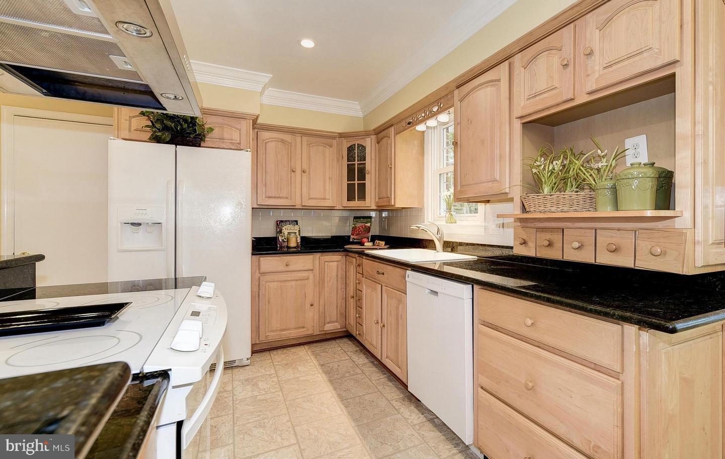 2709 Village Lane Silver Spring, MD 20906 - Photo 6 of 56 Gallery Image 6