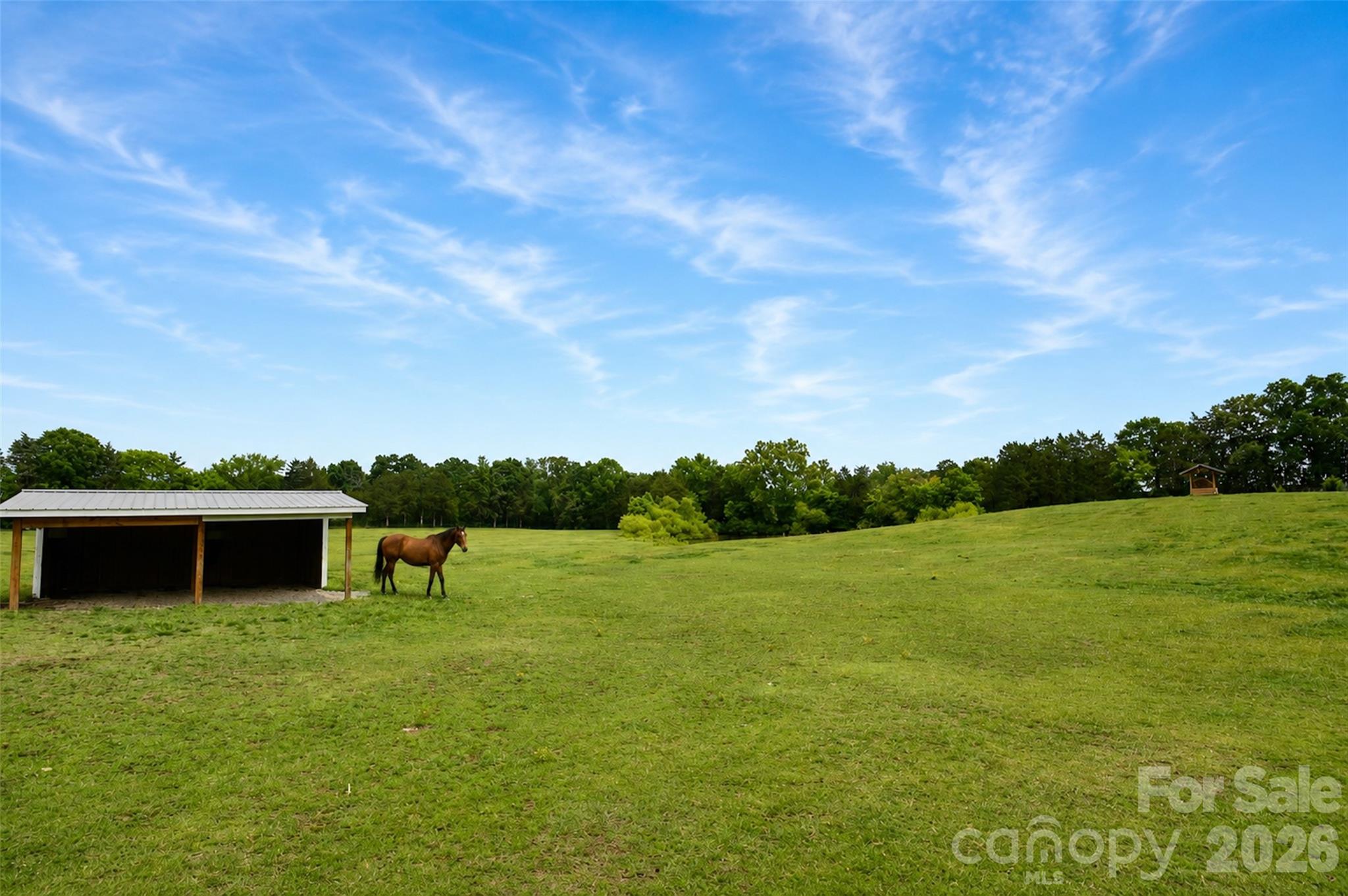 18634 Newsome Road Oakboro, NC 28129 - Photo 45 of 48