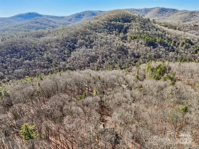 a view of a forest with mountains in the background