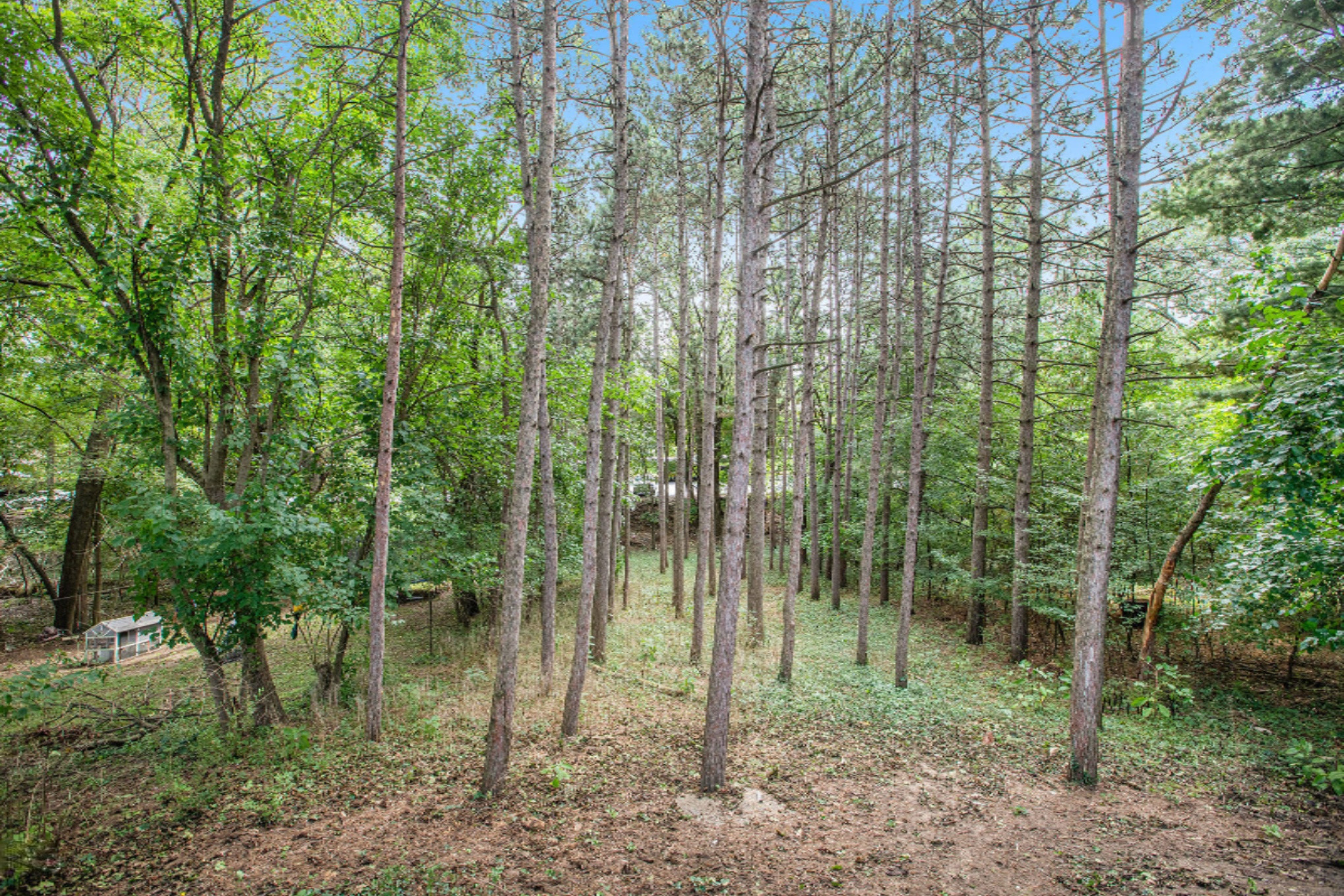 719 Whites Road Kalamazoo, MI 49008 - Photo 20 of 20 NDP-DNGs_93