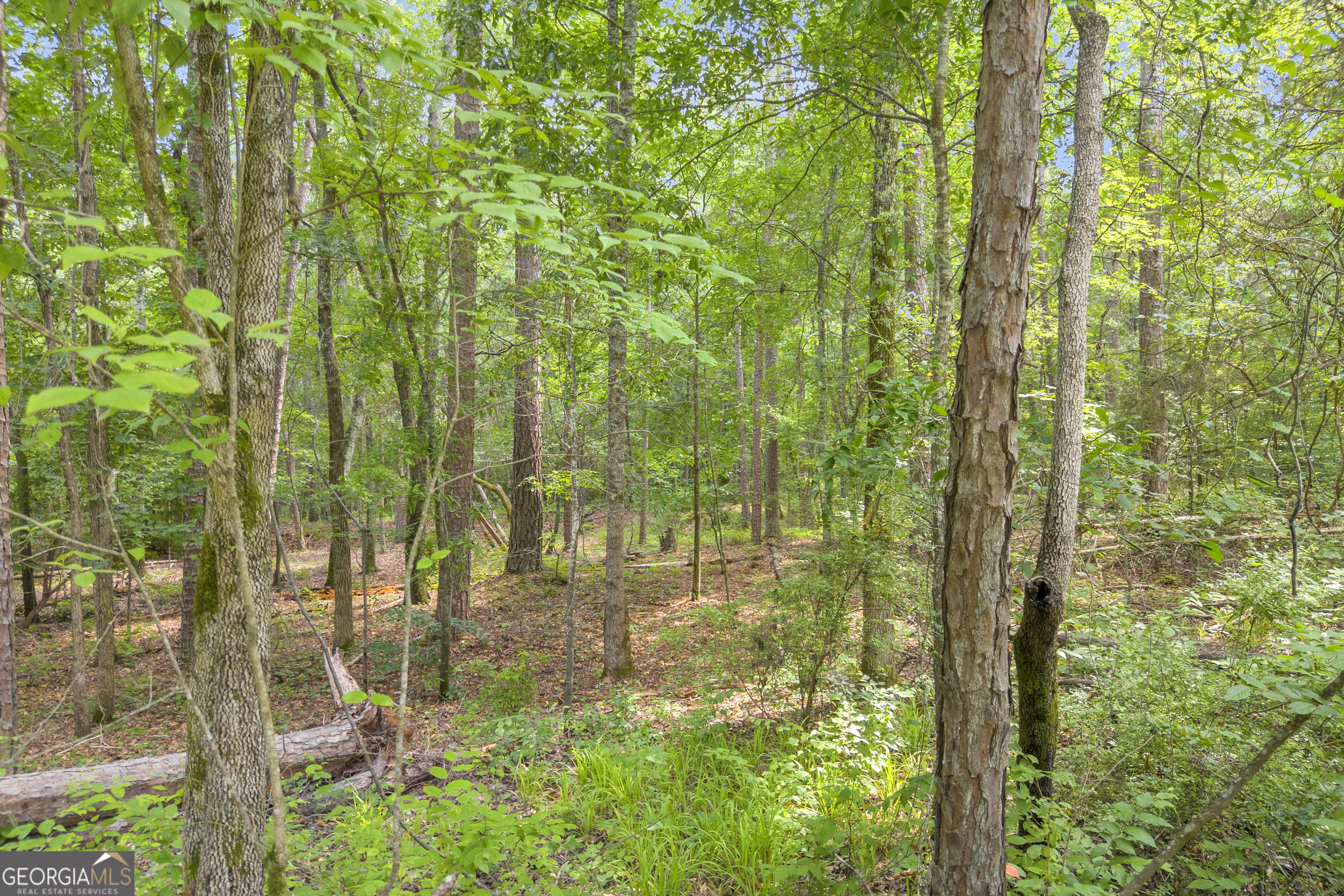 1655 Cleveland Road Bogart, GA 30622 - Photo 4 of 19