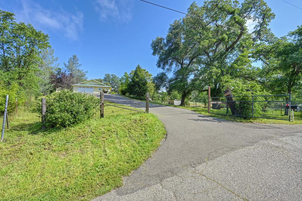 6181 Lambert Lane El Dorado, CA 95623 - Photo 3 of 80 a view of a park with large trees