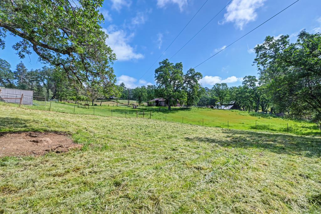 6181 Lambert Lane El Dorado, CA 95623 - Photo 5 of 80 view of yard featuring a view of countryside and view of scattered trees