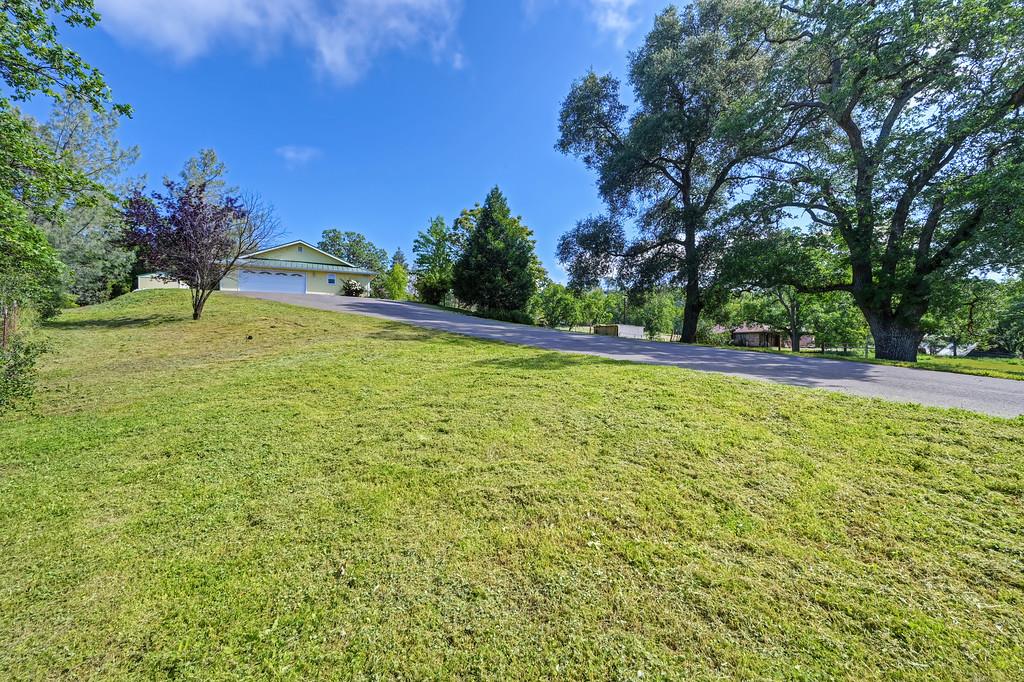 6181 Lambert Lane El Dorado, CA 95623 - Photo 58 of 80 view of green lawn with driveway