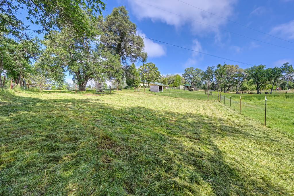 6181 Lambert Lane El Dorado, CA 95623 - Photo 62 of 80 fenced backyard featuring a storage unit and a rural view