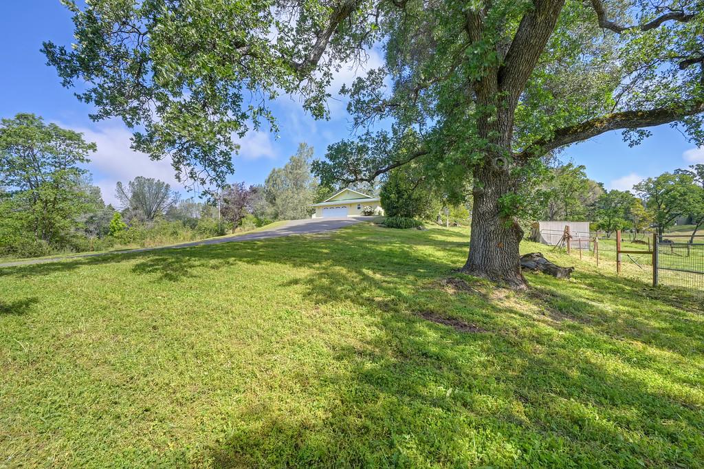 6181 Lambert Lane El Dorado, CA 95623 - Photo 63 of 80 a view of a field with a tree