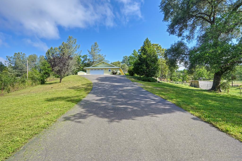 6181 Lambert Lane El Dorado, CA 95623 - Photo 76 of 80 a view of a yard with a tree