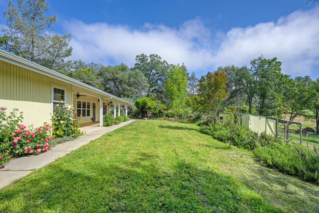 6181 Lambert Lane El Dorado, CA 95623 - Photo 8 of 80 a backyard of a house with lots of green space