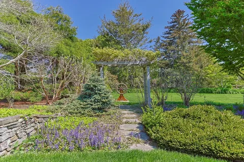 a view of a yard with plants and large trees