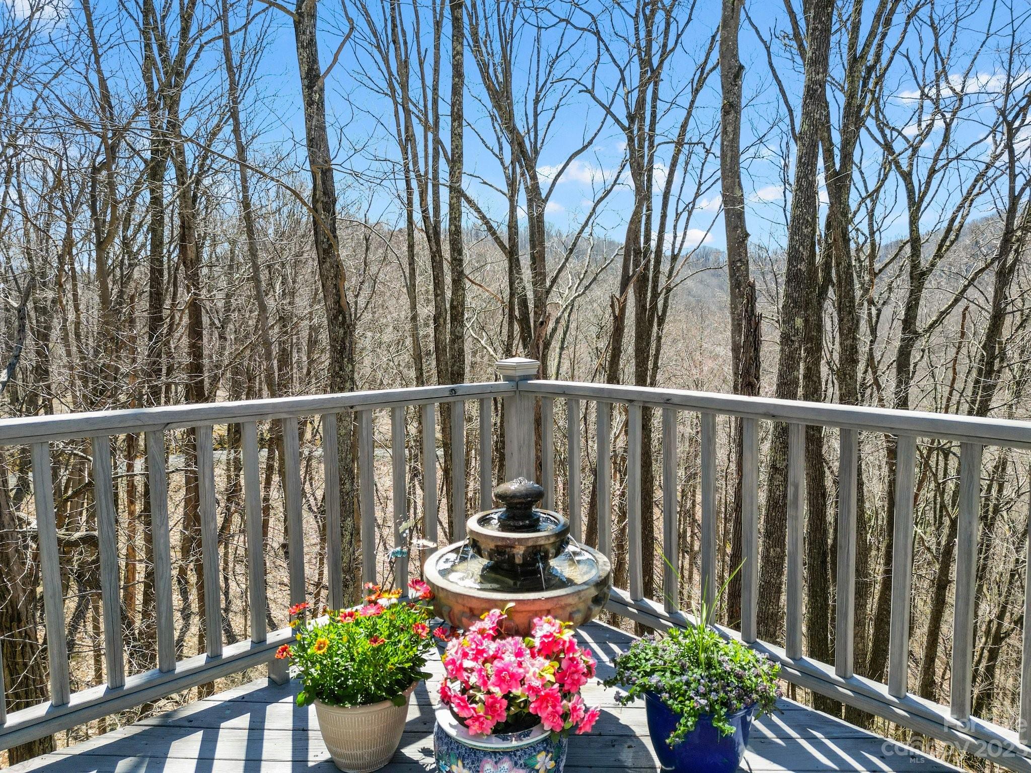 848 Panther Branch Road Hot Springs, NC 28743 - Photo 20 of 48 Gallery Image 20
