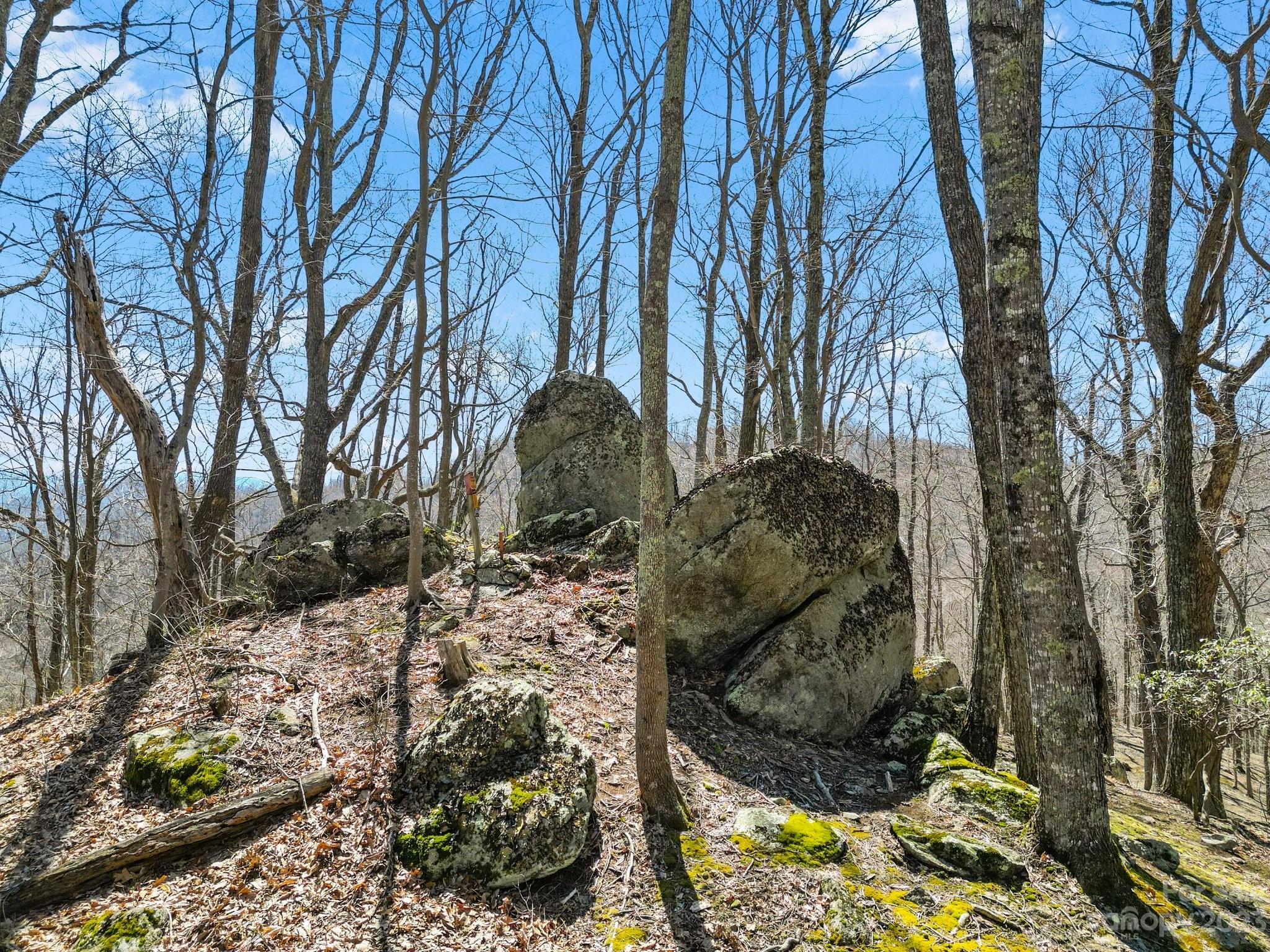 848 Panther Branch Road Hot Springs, NC 28743 - Photo 45 of 48 Gallery Image 45